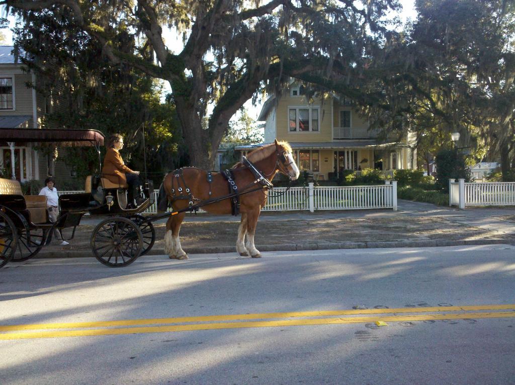 Hoyt House Luxury Bed & Breakfast Fernandina Beach Exteriör bild